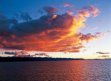 《大恶人千金 枭雌百合战记》Steam页面上线 支持简繁体中文