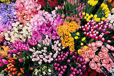 《妖刀退魔忍》免费试玩版现已在Steam推出